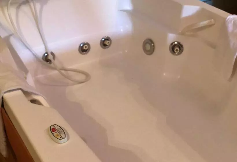 バスタブ付きスタンダードルーム, Auberge Du Renard'eau