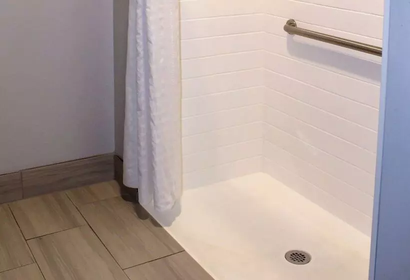 身障者適用スイートルーム, Comfort Inn & Suites Near Lake Guntersville