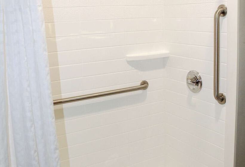 جناح لذوى الاحتياجات الخاصة, Comfort Inn & Suites Near Lake Guntersville