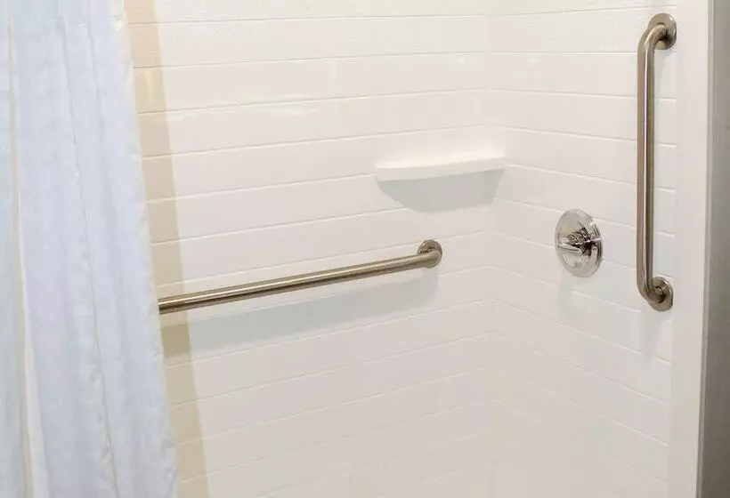 身障者適用スイートルーム, Comfort Inn & Suites Near Lake Guntersville