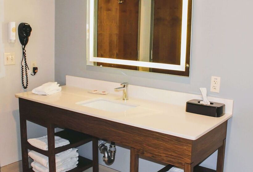 סוויטה מותאמת לאדם עם מוגבלויות, Comfort Inn & Suites Near Lake Guntersville