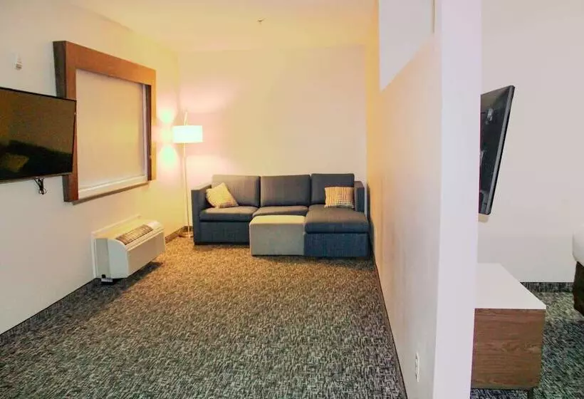 身障者適用スイートルーム, Comfort Inn & Suites Near Lake Guntersville