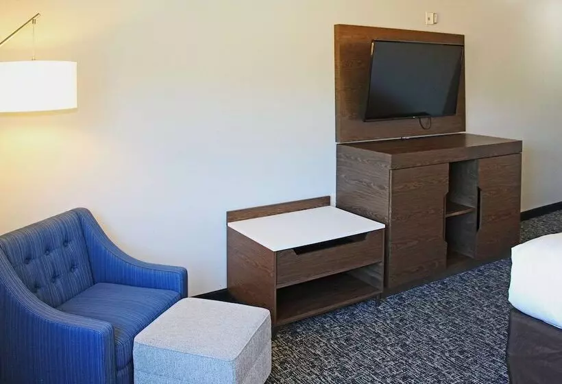 身障者適用スイートルーム, Comfort Inn & Suites Near Lake Guntersville