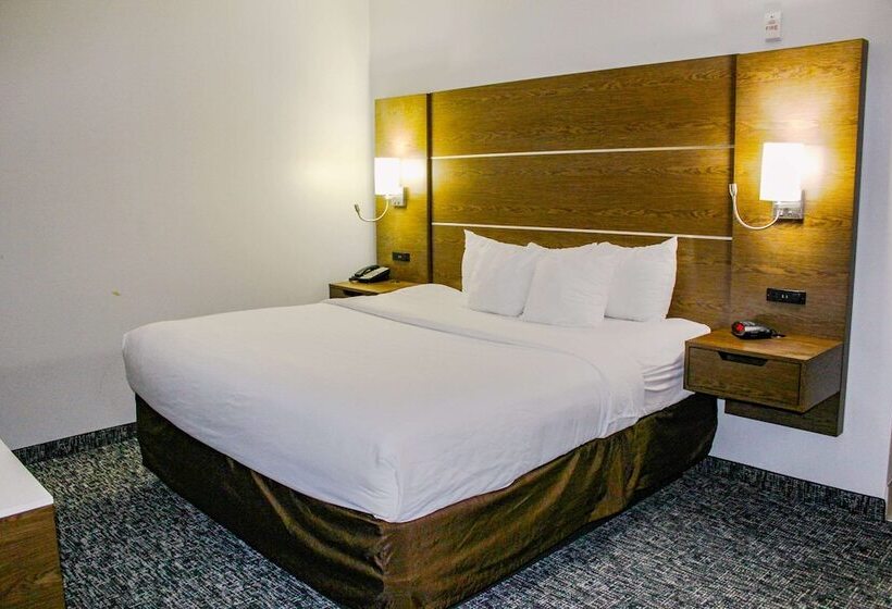 جناح لذوى الاحتياجات الخاصة, Comfort Inn & Suites Near Lake Guntersville