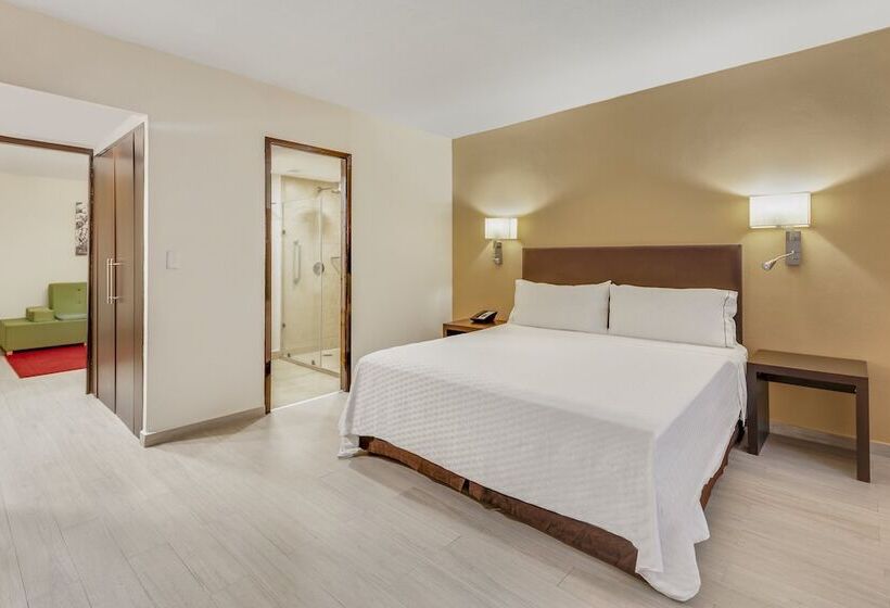 سوییت جونیور, Fiesta Inn Guadalajara Expo