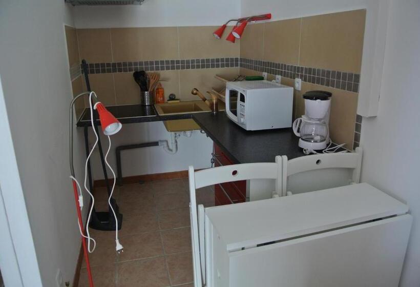 חדר סטודיו סטנדרד, Hôtel Les Mimosas