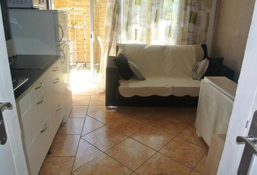 דירת חדר עם טרסה, Hôtel Les Mimosas