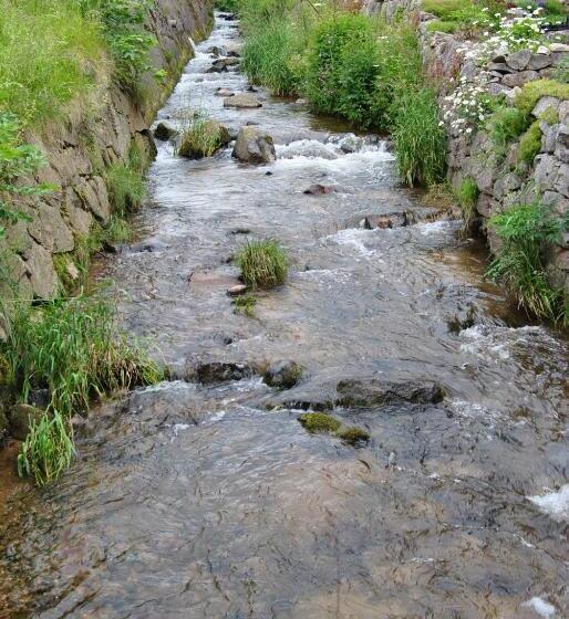 스탠다드 룸, Logis Hôtel Restaurant La Tête Des Faux