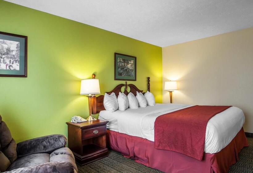 غرفة قياسية سرير كينج, Quality Inn