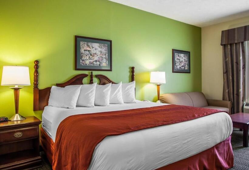 غرفة قياسية سرير كينج, Quality Inn
