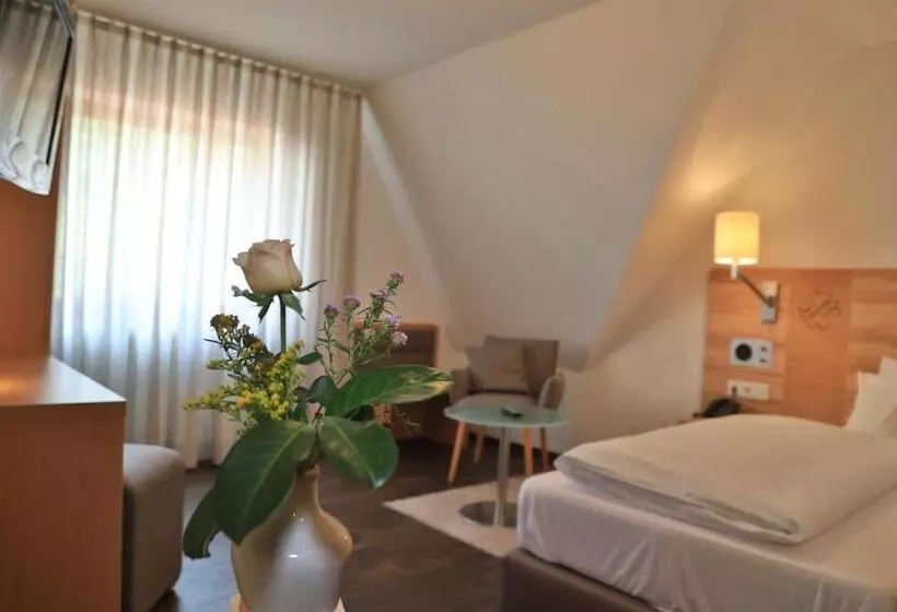 スタンダードシングルルーム, Landidyll Hotel Zum Alten Schloss