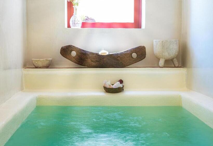Люкс с Бассейном, Abelis Canava Luxury Suites