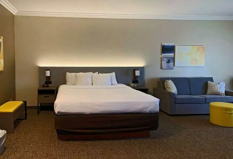 سوئیت با تخت بزرگ, Comfort Suites Oceanside Camp Pendleton Area