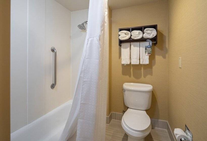 غرفة قياسية, Holiday Inn Express Castro Valley