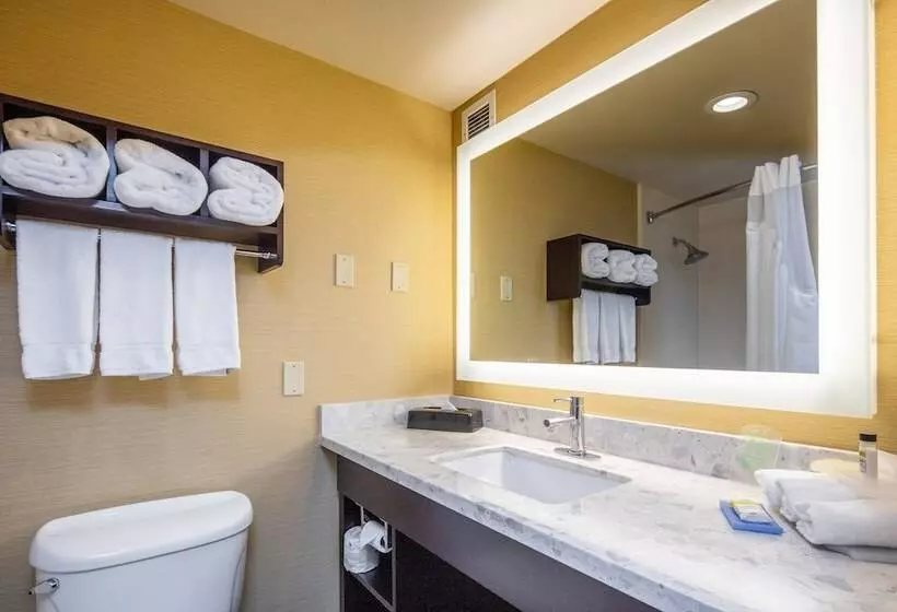 اتاق استاندارد, Holiday Inn Express Castro Valley