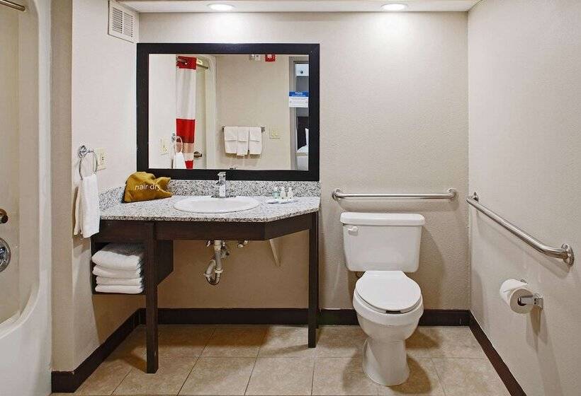 اتاق دلوکس مخصوص معلولین, Spark By Hilton Bentonville