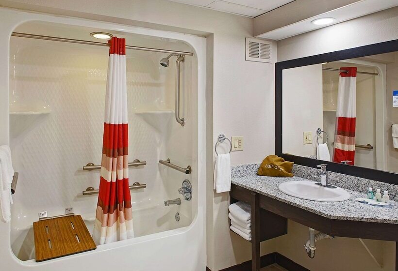 اتاق دلوکس مخصوص معلولین, Spark By Hilton Bentonville