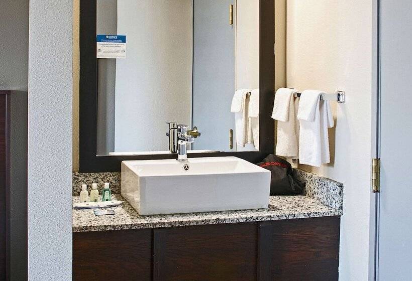 اتاق دلوکس مخصوص معلولین, Spark By Hilton Bentonville