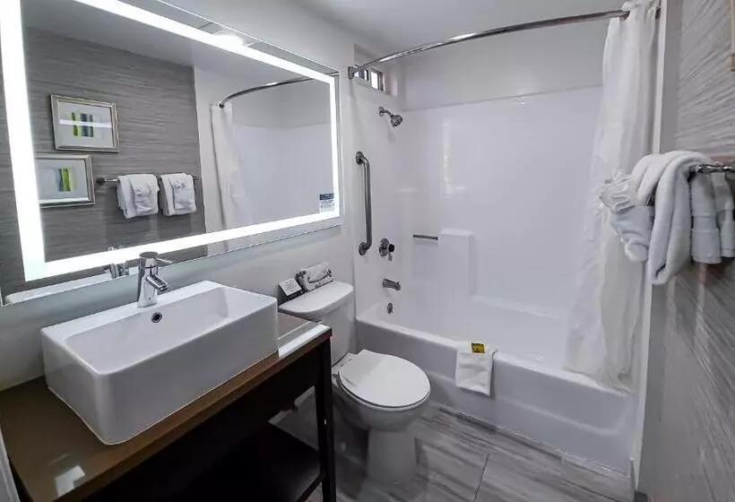 اتاق استاندارد با تخت بزرگ, Quality Inn Burbank Airport
