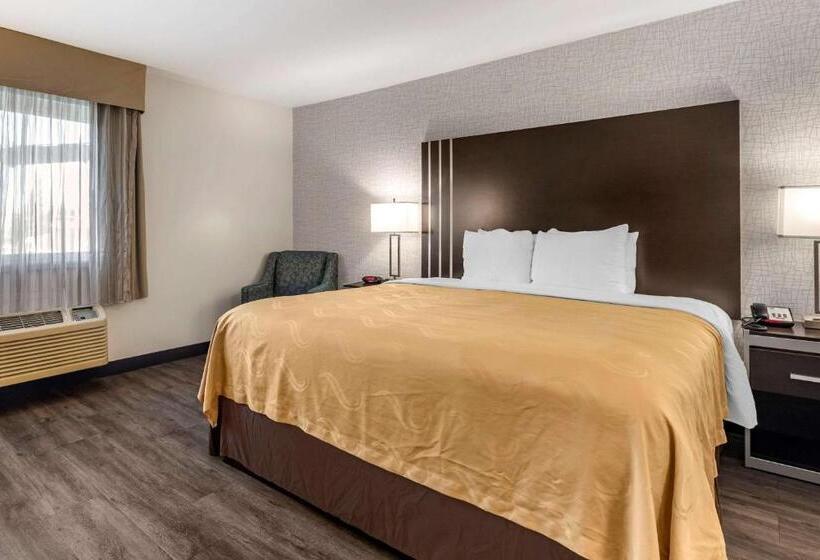 带大床的标准间, Quality Inn Burbank Airport