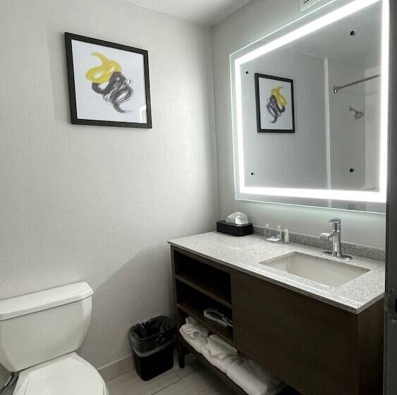 جناح, Comfort Suites Denver North   Westminster