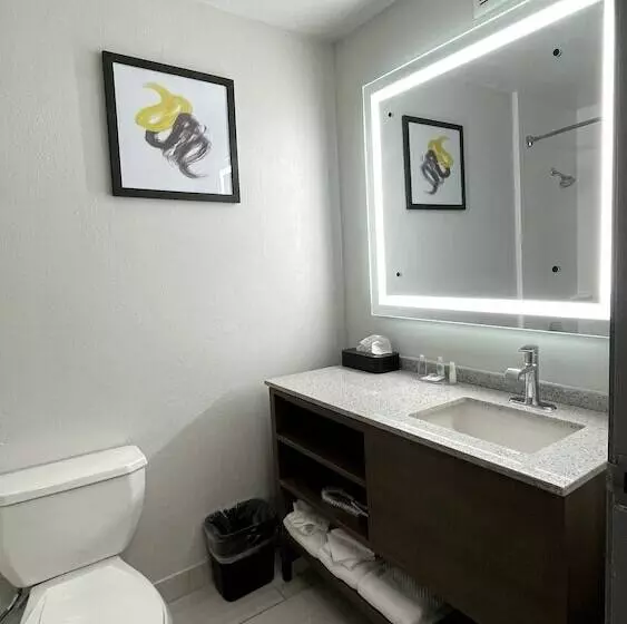 スイート, Comfort Suites Denver North Westminster