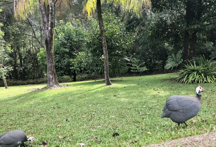 غرفة كومفورت, Daintree Manor Bed & Breakfast