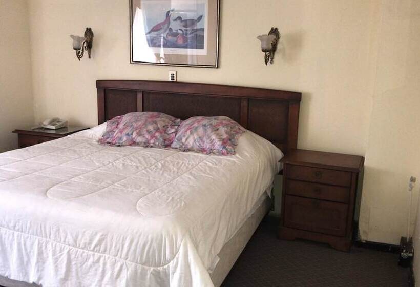 اتاق سوپریور, Cantamar