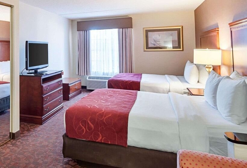 سوییت, Comfort Suites Dulles Airport