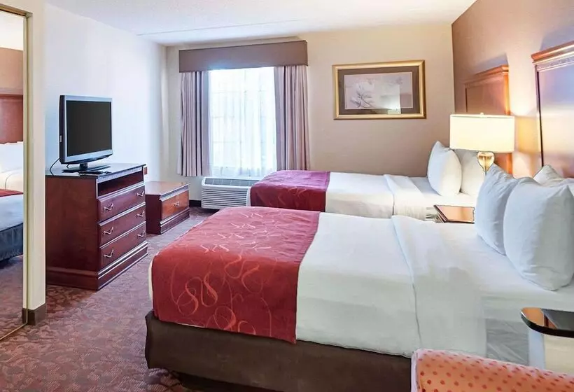 スイート, Comfort Suites Dulles Airport