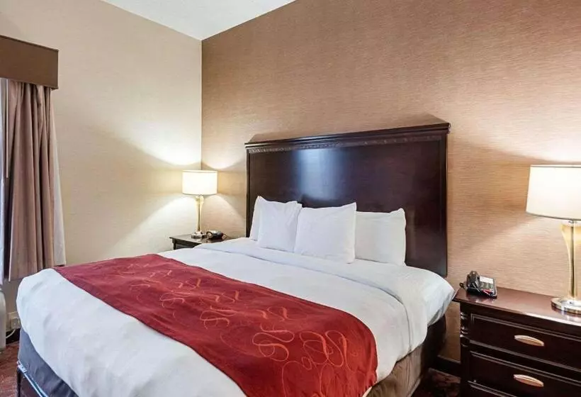 キングサイズベッドのスイートルーム, Comfort Suites Dulles Airport
