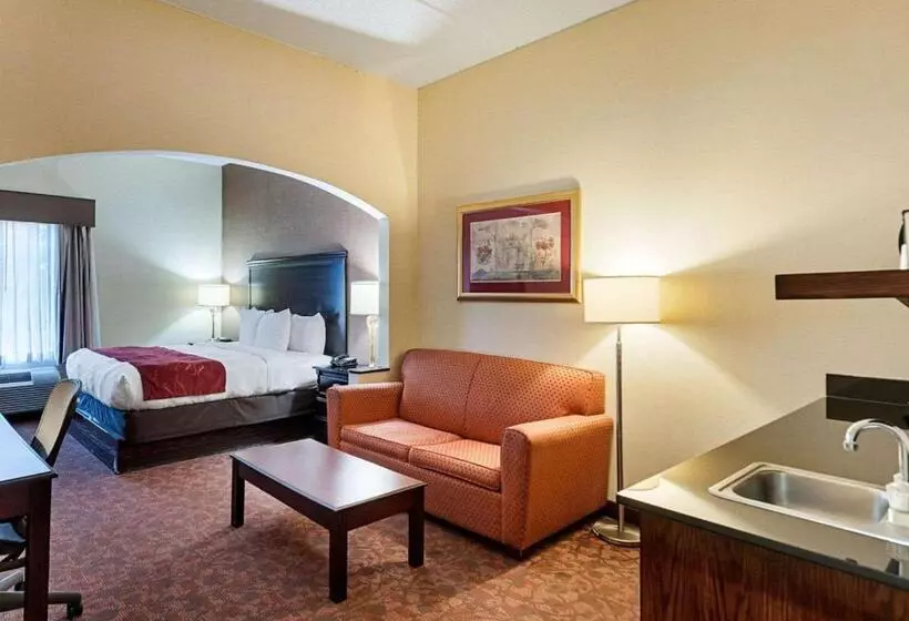 キングサイズベッドのスイートルーム, Comfort Suites Dulles Airport