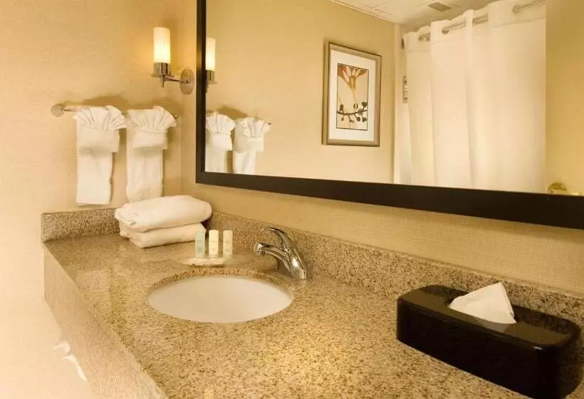 キングサイズベッドのスイートルーム, Comfort Suites Dulles Airport