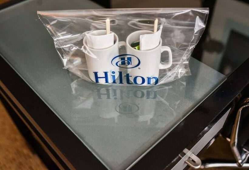 اتاق لوکس, Hilton Buenos Aires