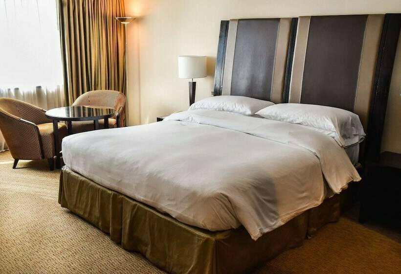 اتاق اجرایی, Hilton Buenos Aires