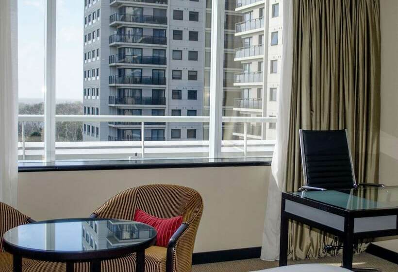 اتاق اجرایی, Hilton Buenos Aires
