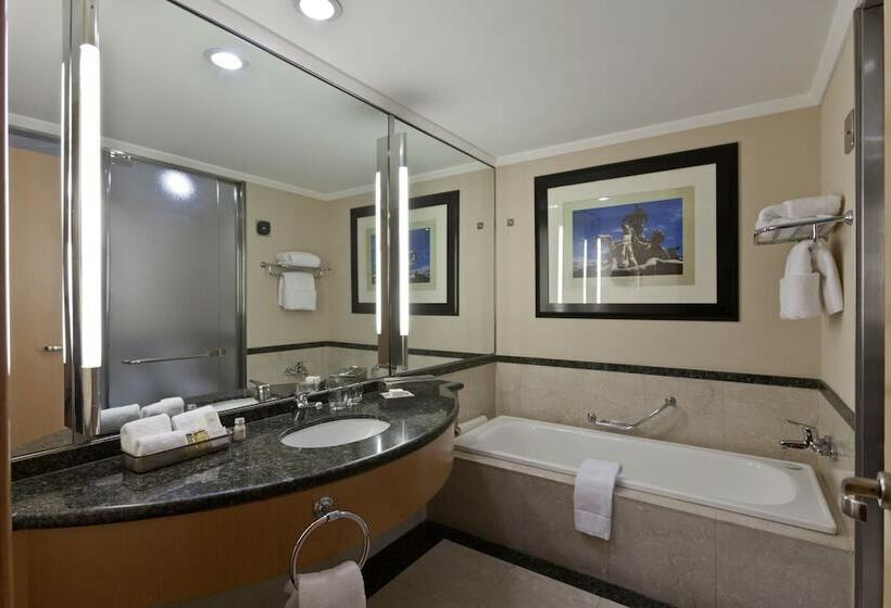 اتاق اجرایی, Hilton Buenos Aires