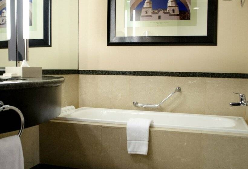 اتاق اجرایی, Hilton Buenos Aires