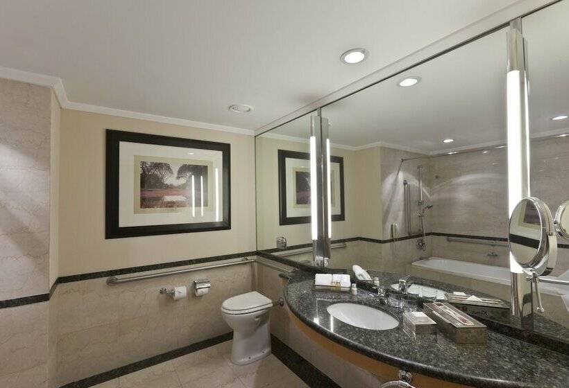 سوییت اجرایی, Hilton Buenos Aires