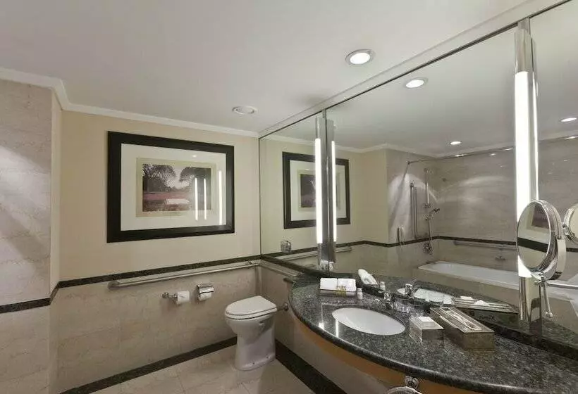 سوییت اجرایی, Hilton Buenos Aires