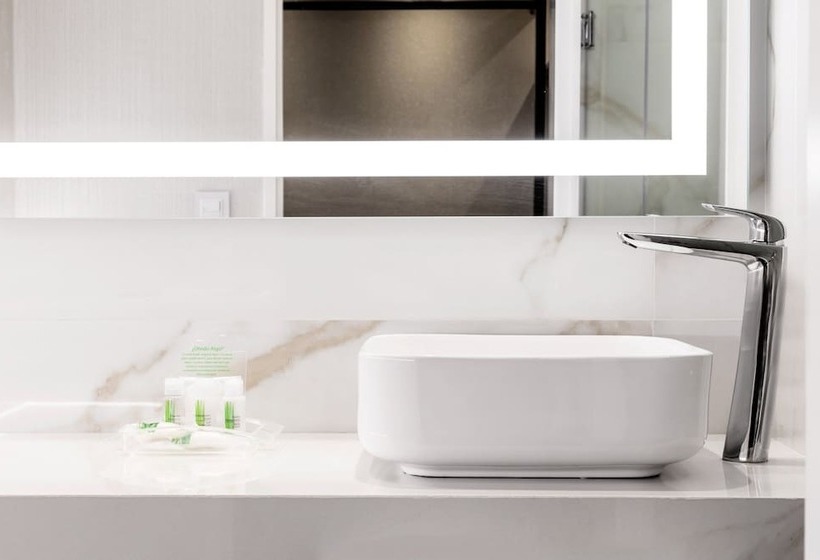 חדר סטנדרט שתי מיטות זוגיות, Holiday Inn Rosario, An Ihg