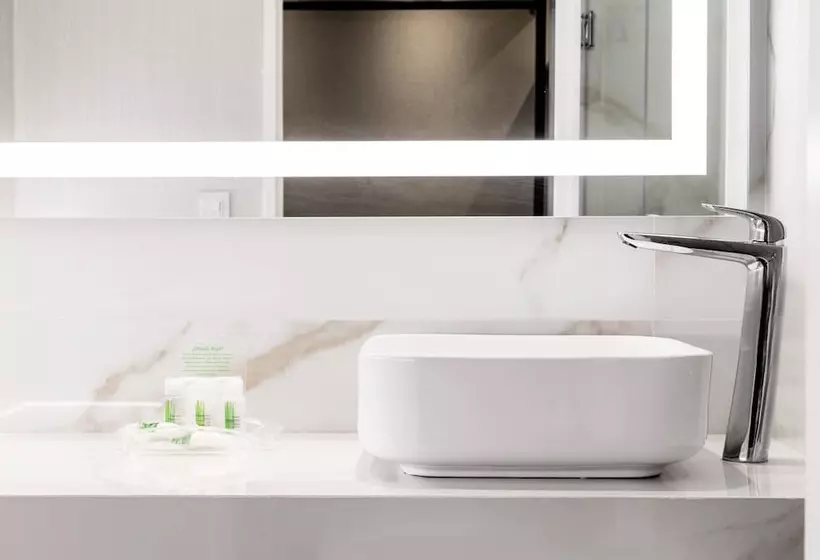 ２ダブルベッドのスタンダードルーム, Holiday Inn Rosario, An Ihg