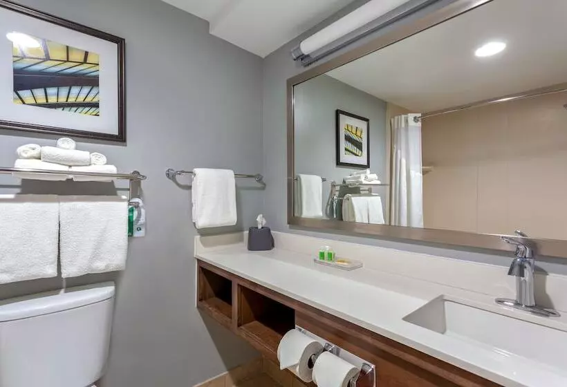 ダブルベッドスタンダードルーム, Holiday Inn St Augustine World Golf, An Ihg