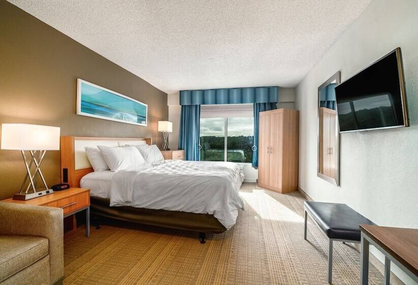 Номер Стандарт Двуспальная Кровать, Holiday Inn   St Augustine   World Golf, An Ihg