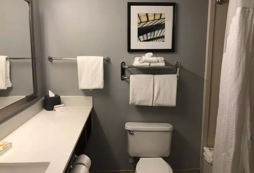 スイート, Holiday Inn St Augustine World Golf, An Ihg