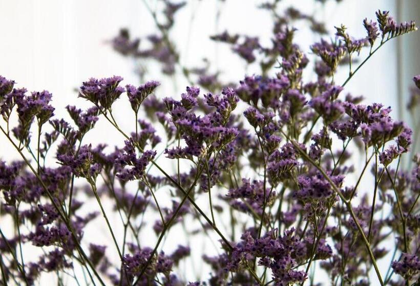 バスルーム共有のトリプルスタンダード, A Due Passi Dal Lumière