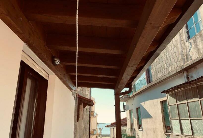 基本间, Brezza Marina