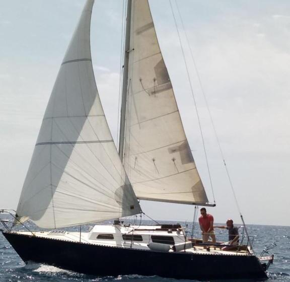 基本间, Brezza Marina