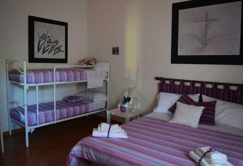 Номер Стандарт, B&b Antico Frantoio