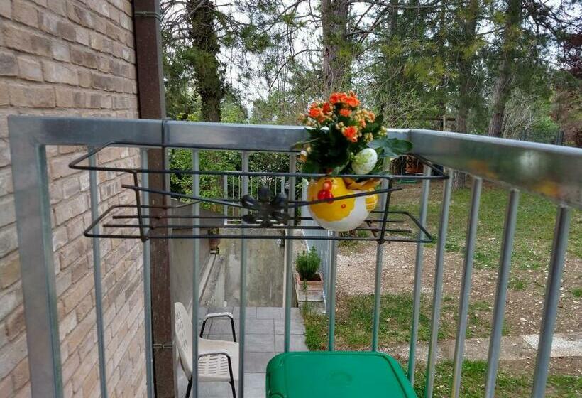 스탠다드 룸, B&b Il Torchiourbino